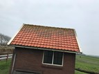 Dakpannen schoonmaken en reingen